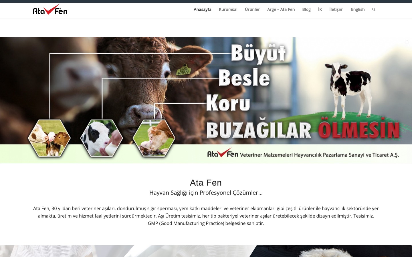 Ata Fen dijital proje referansı