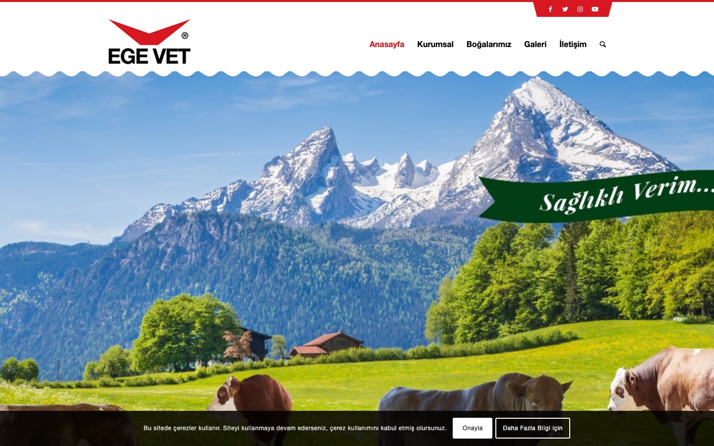 Ege Vet dijital proje referansı